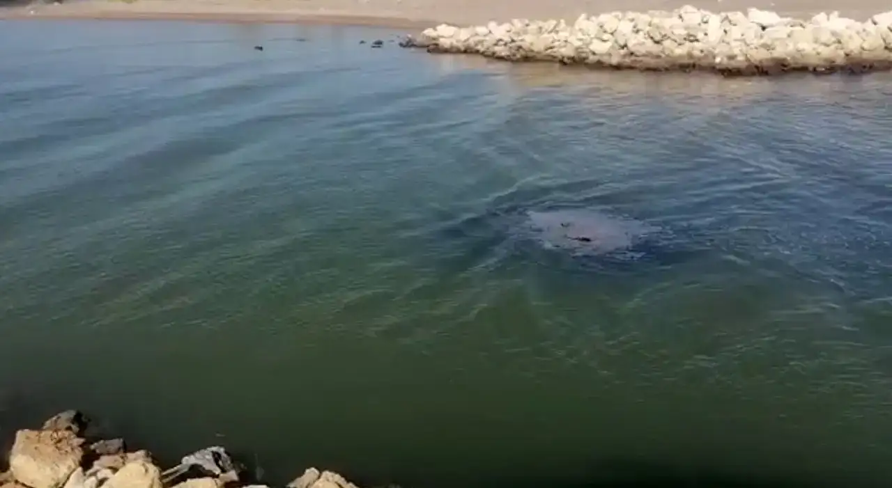 Aksu Kumköy'de Özel Plajlı Kaçak Yapılar Yıkılacak 6